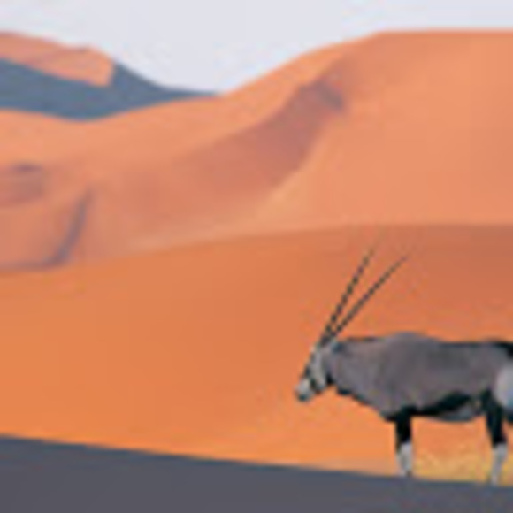 iftekharhussain